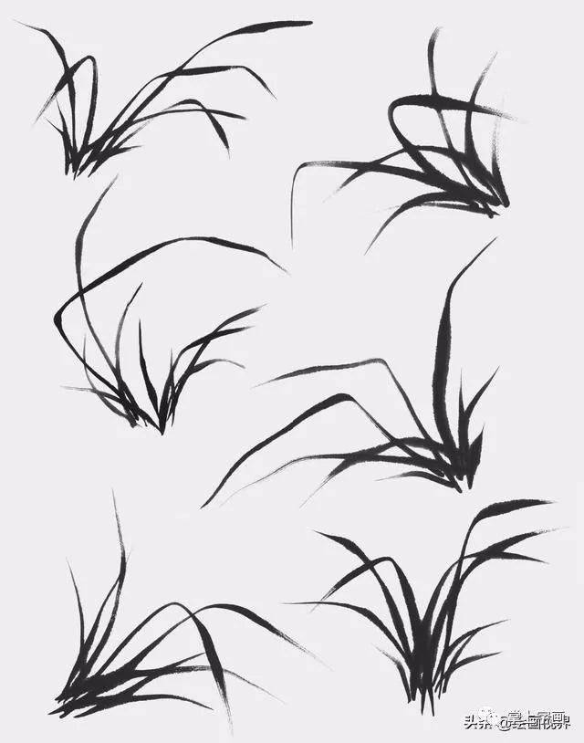 花卉画法入门教程双勾法画梅花