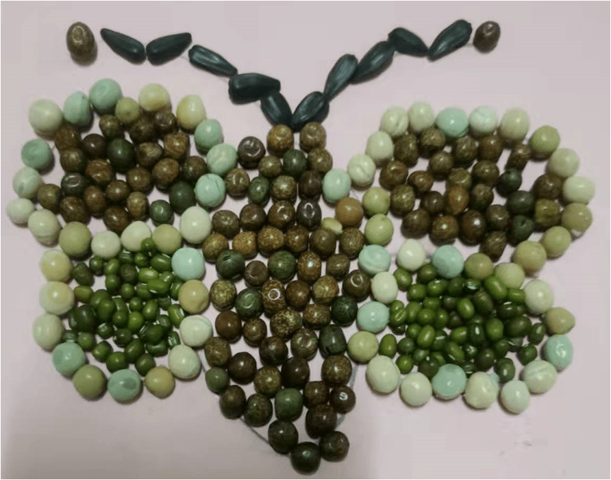 双减61特色作业初夏凤仙花盛开香飘四溢满校园拓东二小四年级科学