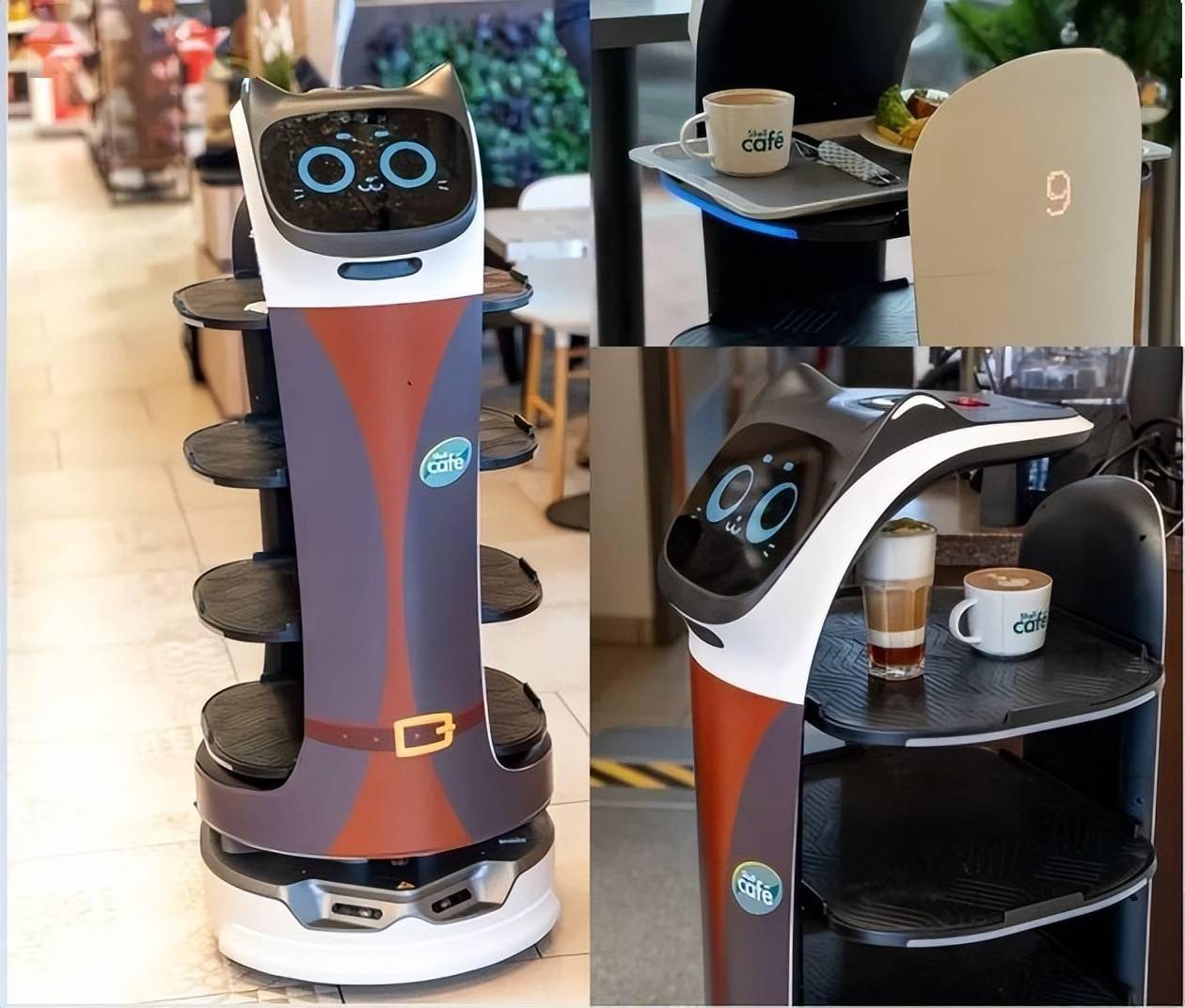 全球首次落地加油站,普渡机器人与壳牌波兰公司达成合作_贝拉_葫芦