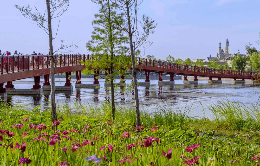 【预订开启】来迪士尼乐园酒店偶遇迪士尼朋友吧→_米奇_米亚_运营