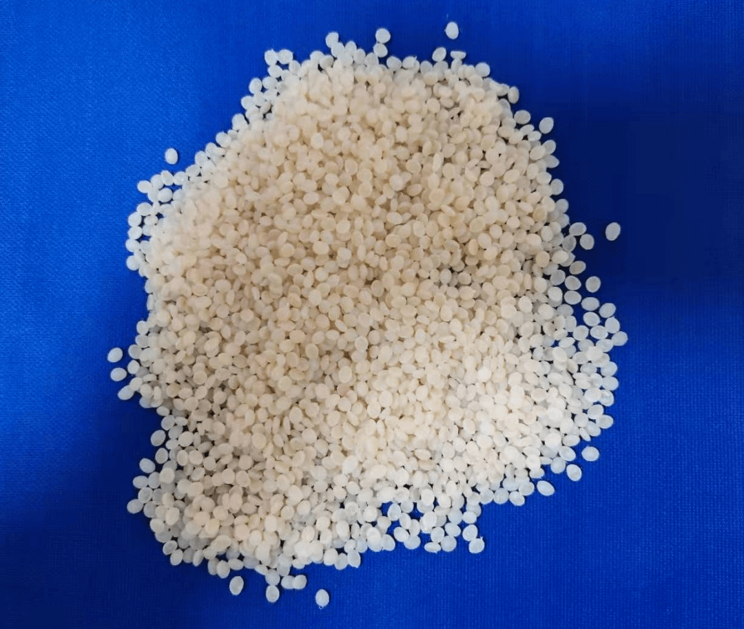 展商推荐洛阳绿之汇塑料降解科技有限公司将携最新降解技术参展2022第