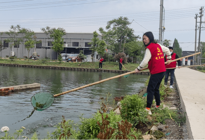 她定时定期巡视村辖区河道,组织专业打捞队员,定期打捞河道及湖面漂浮