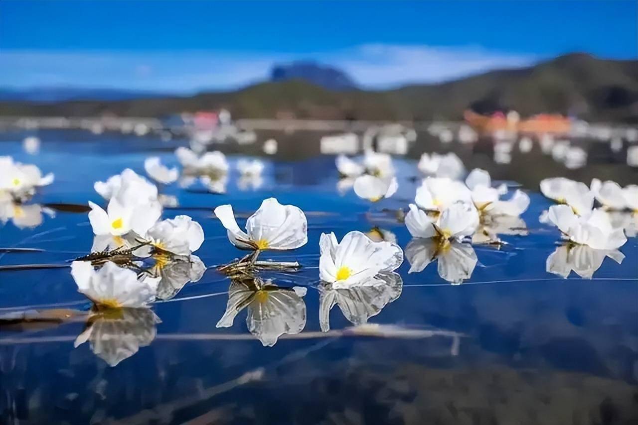 夏日的泸沽湖就爱你的水性杨花