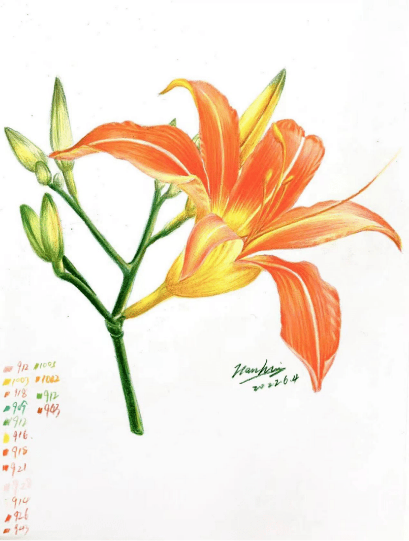 (授课教师:韩慧)1,成人彩铅课——第五节:《萱草花》(下)本期推送视频