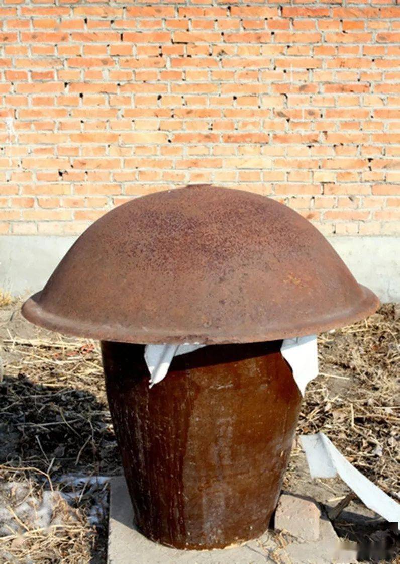 东北人的"大酱情怀"_酱缸_清水_因为