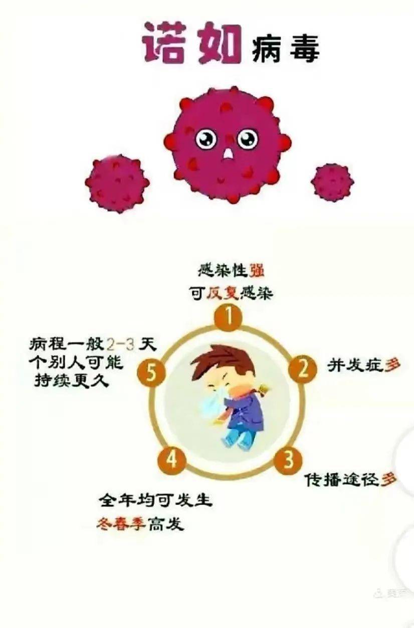  诺如病毒的主要传播途径(诺如病毒的传播途径和临床表现)