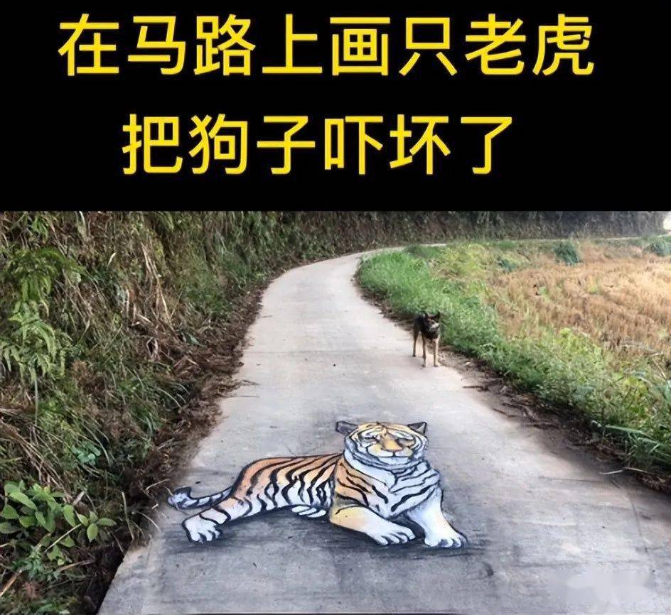 【乱石穿空】张世先:"3d立体画"吓呆路人67_小伙_美女_全网