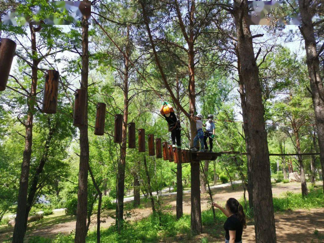 淨月潭森林探險樂園 | 