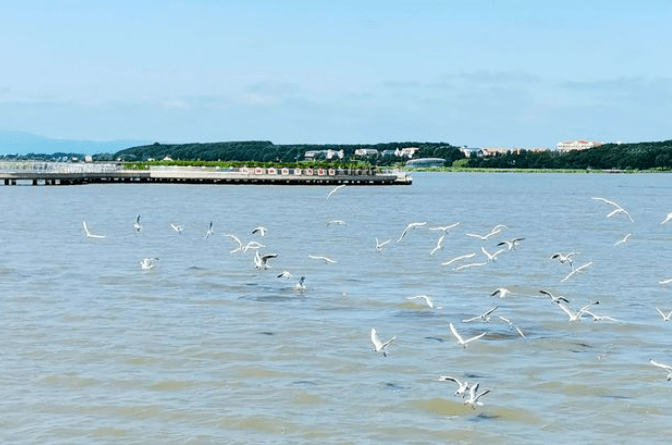 讲水利风景区故事兴凯湖波涌连天的美丽琴海