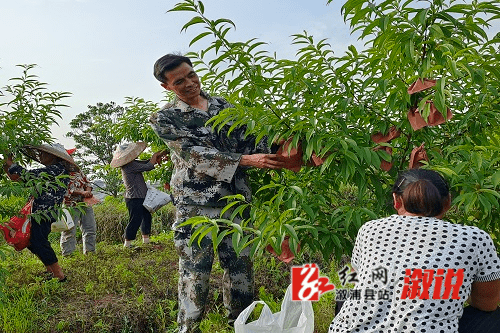 溆浦人不忘初心践行使命扎根基层为民服务桥江镇最美民兵黄贻军