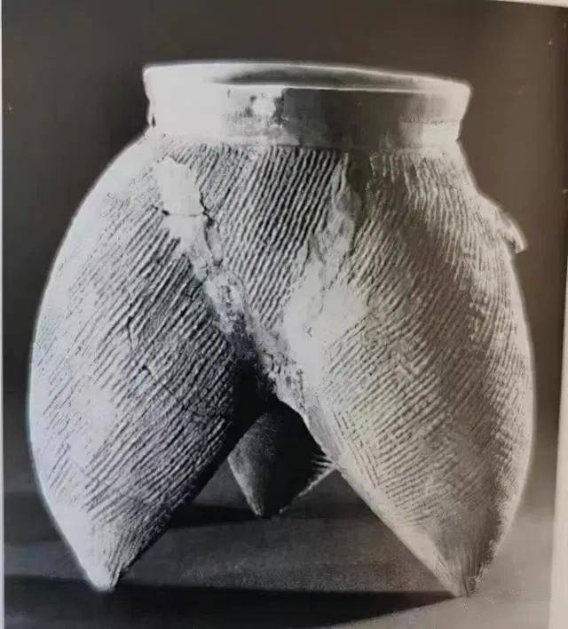 再往前推,白燕夏代高领鬲演变于距今4600～3800年老虎山文化的双鋬鬲