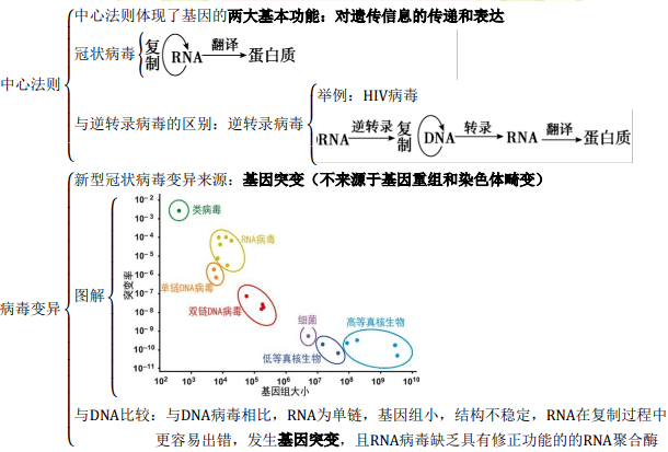 定心丸生物等级考热点专题新冠病毒