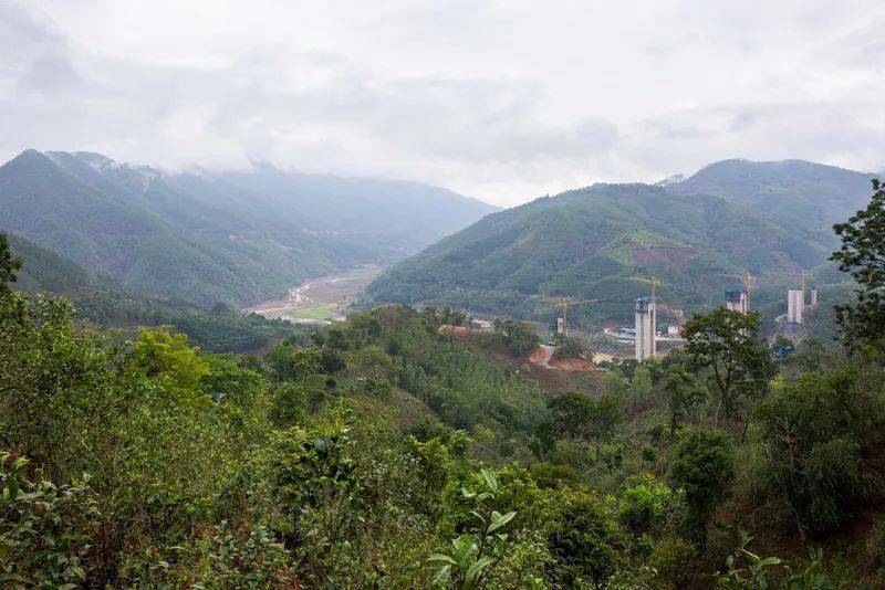 这是昔归这里的土壤种玉米不香糯种蔬菜不爽口唯独这里的茶却非常好喝