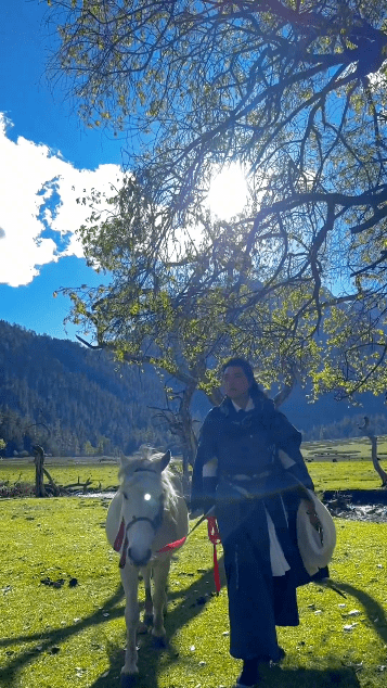 九龙县伍须海刘洪说看了真想去当地旅游""以这种方式宣传当地景点真好