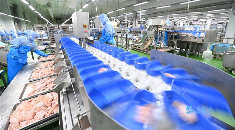 6月17日,在宿豫区正大食品(宿迁)有限公司屠宰车间,先进的自动化设备