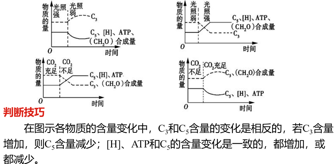 定心丸生物等级考光合作用主题