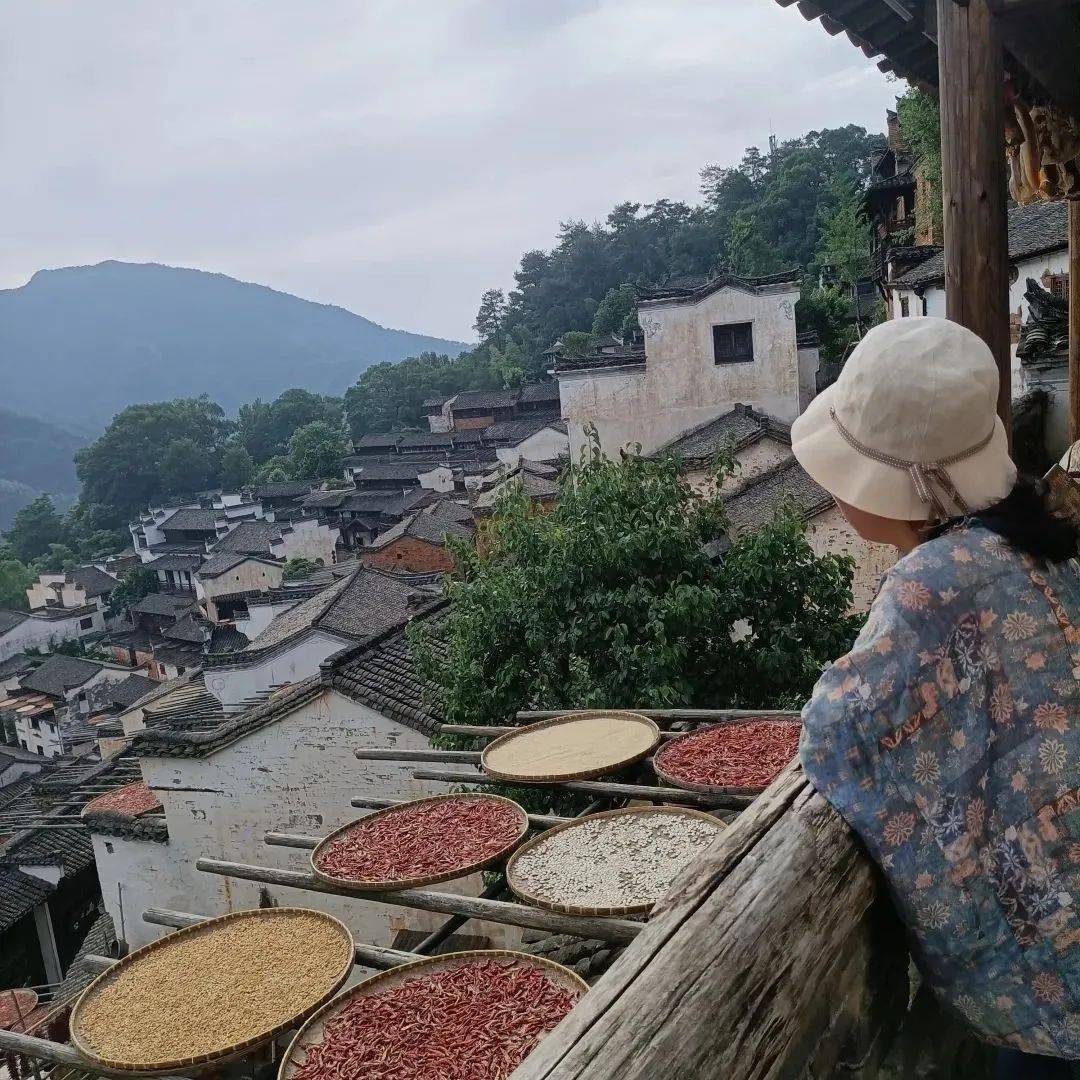 晒秋的指引_生活_成全为_梦中