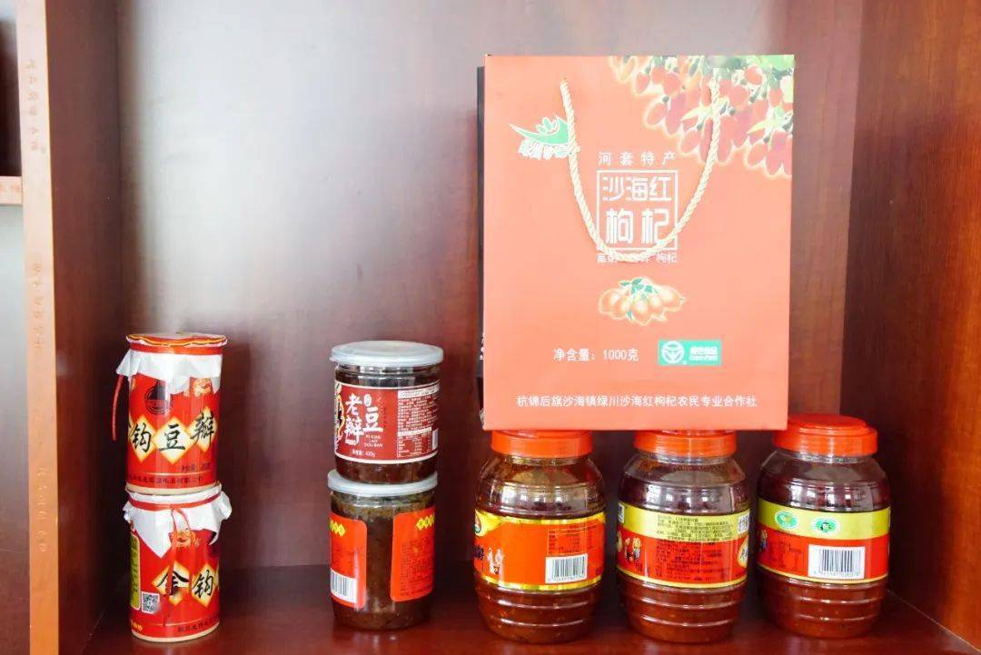 奋进新征程建功新时代沙海镇合作社签约入股党支部领航共富