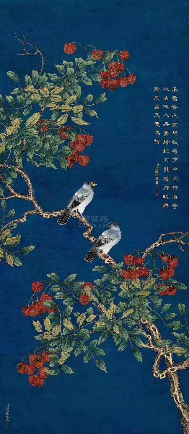 清代邹氏最著名的画家之一：邹一桂工笔花鸟画作品欣赏_手机搜狐网