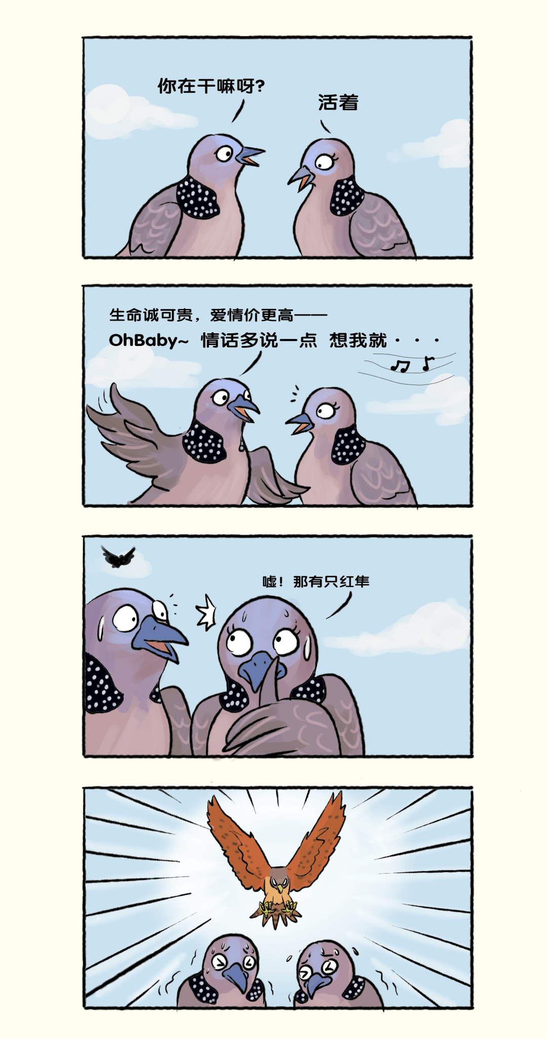 红隼的乌龙事件