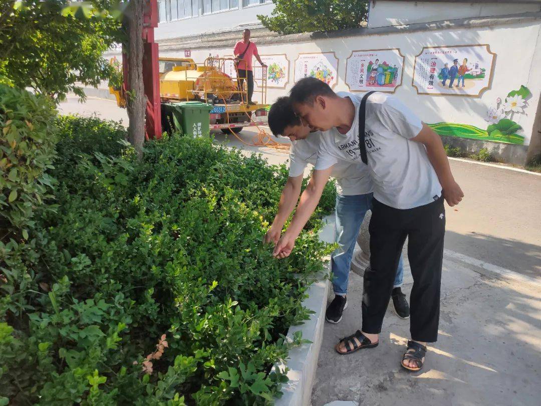 6月17日,市園林管理處根據本年度定點幫扶工作計劃,安排相關部門及