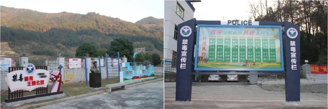 古田县泮洋乡凤竹村无毒示范基地坚持"禁毒"与"民"相融合,在草坪,围墙