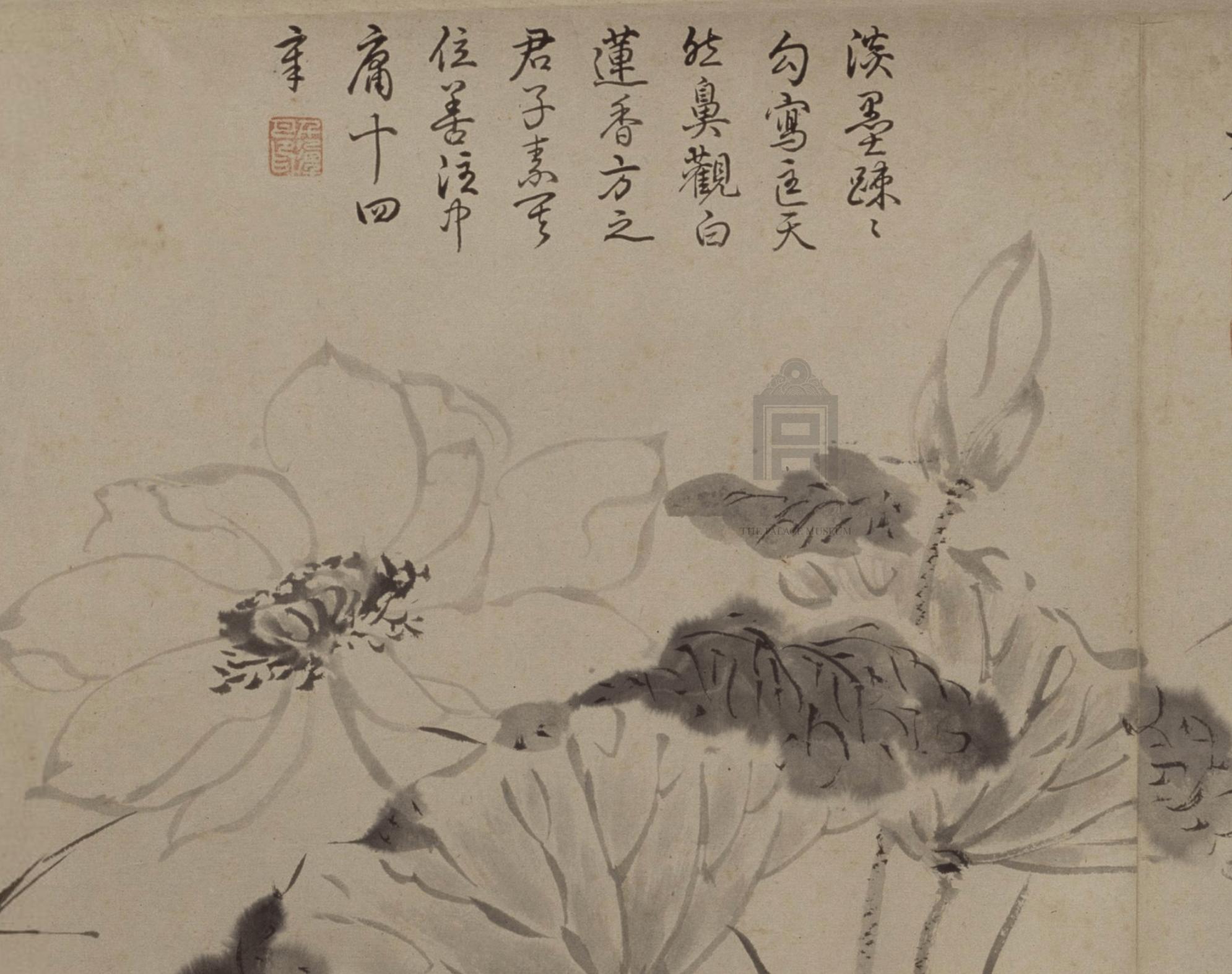 故宫花信|荷花:清韵悠远,水面闻香_唐寅_荷叶_黄居