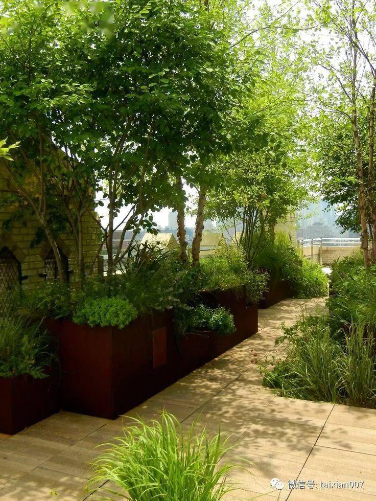 日本顶级杂木庭院500款