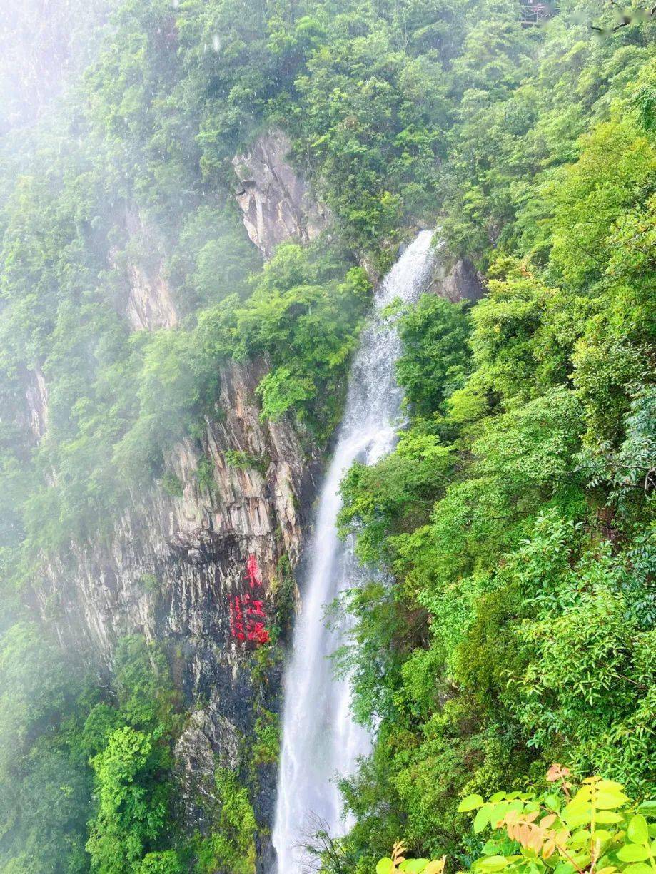 刷爆你朋友圈的瀑布就在三百山!你确定不来打卡吗?_视频_云雾_雨水