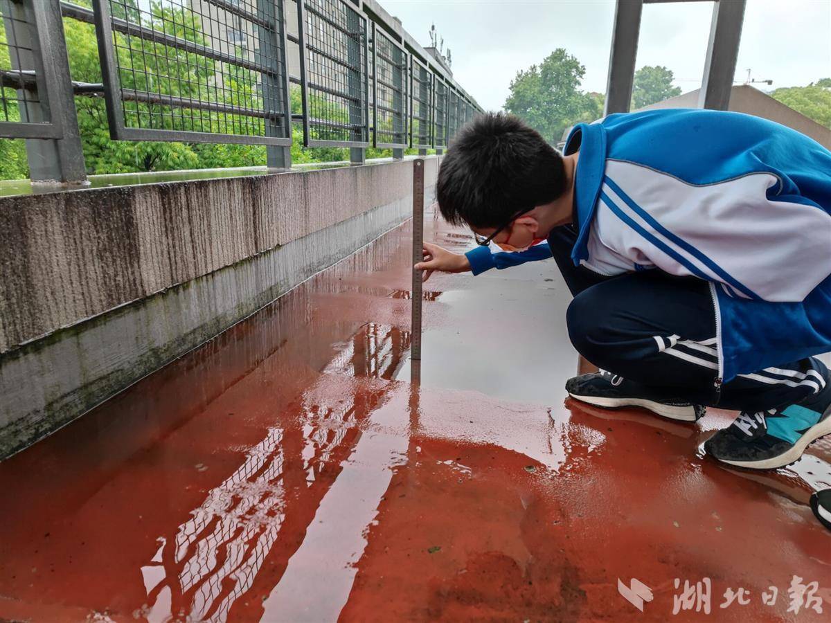 化身小小調查員,利用課餘時間調查測量校園道路系統,建築系統和綠地