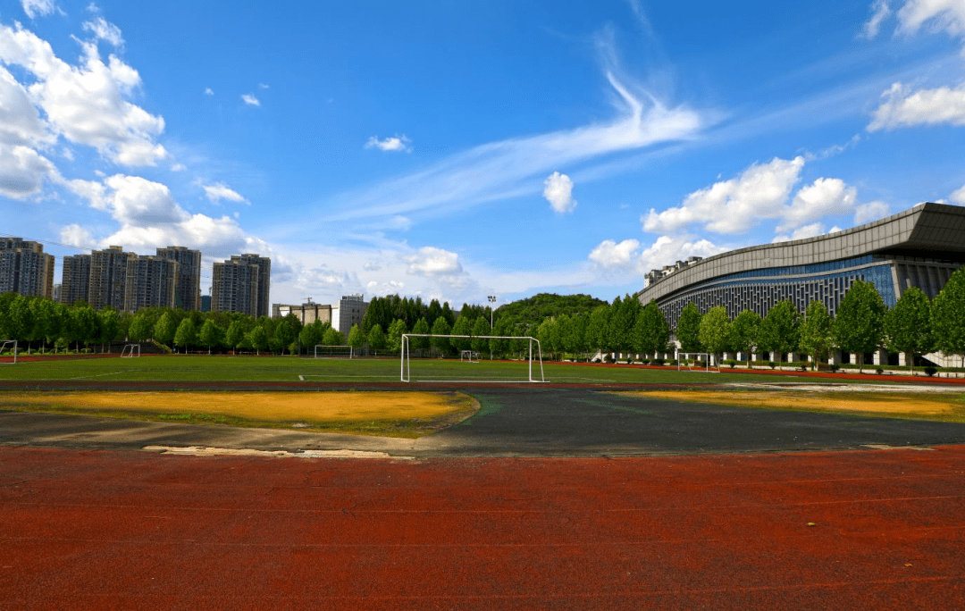 重庆科技学院虎溪校区图片