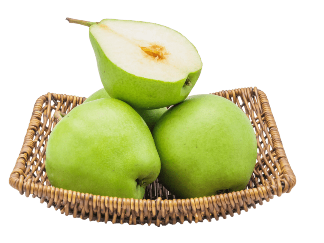 通城夏季最全水果采摘攻略看这里