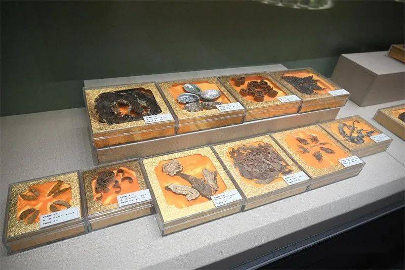 福州大学城这所高校里藏着一座中医药博物馆_文化_闽侯县_中药材