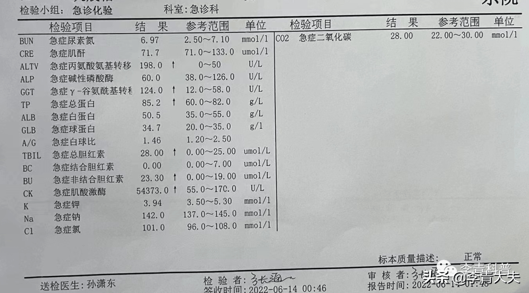 尿沉渣报告单对照表图片