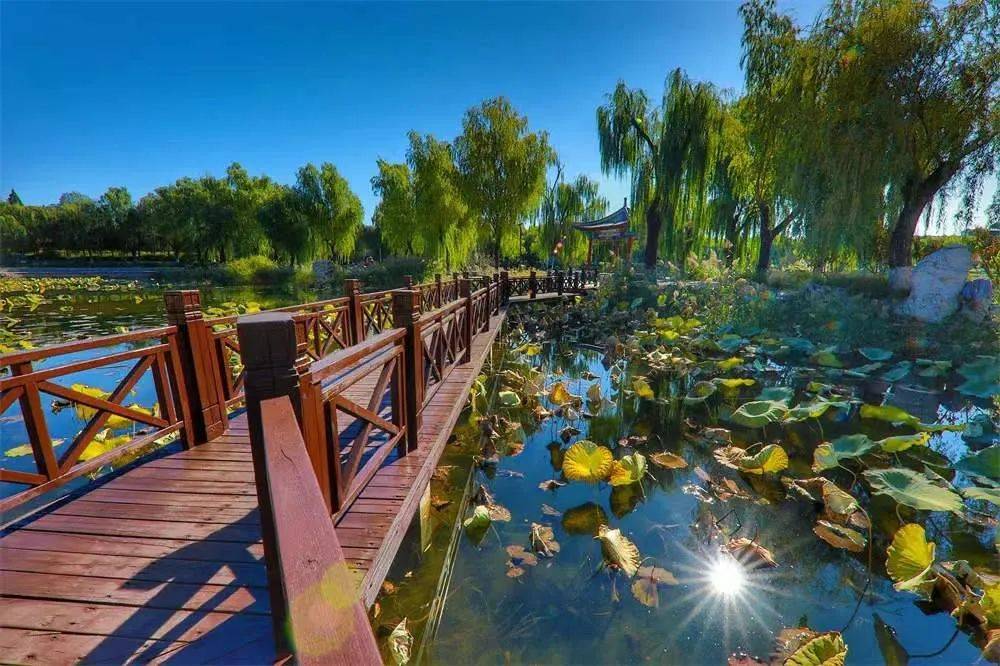 北京龙潭西湖公园首迎汛期检验水不臭了而且清澈见底