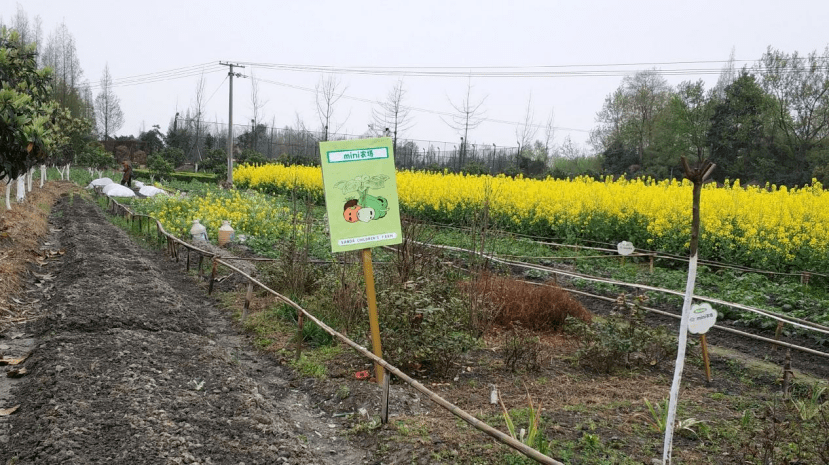 抓住这几点家庭农场就能轻松升级成高盈利的亲子农场