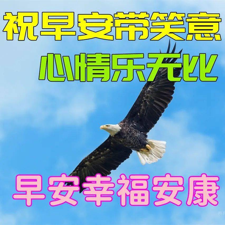 早上表情包打招呼图片