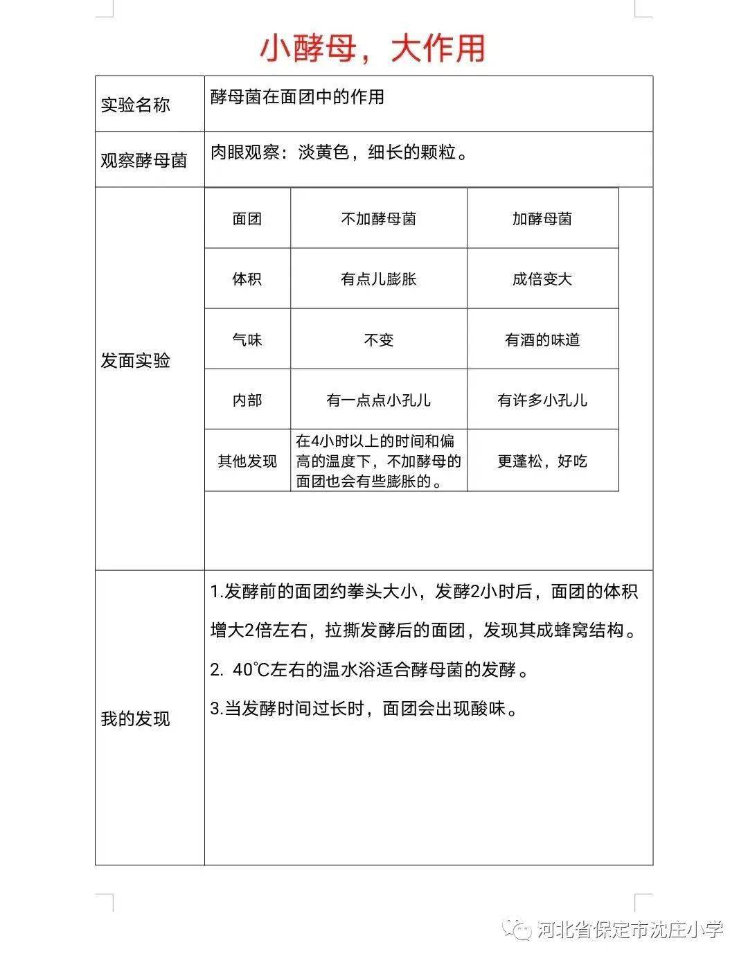 酵母菌模型制作方法图片