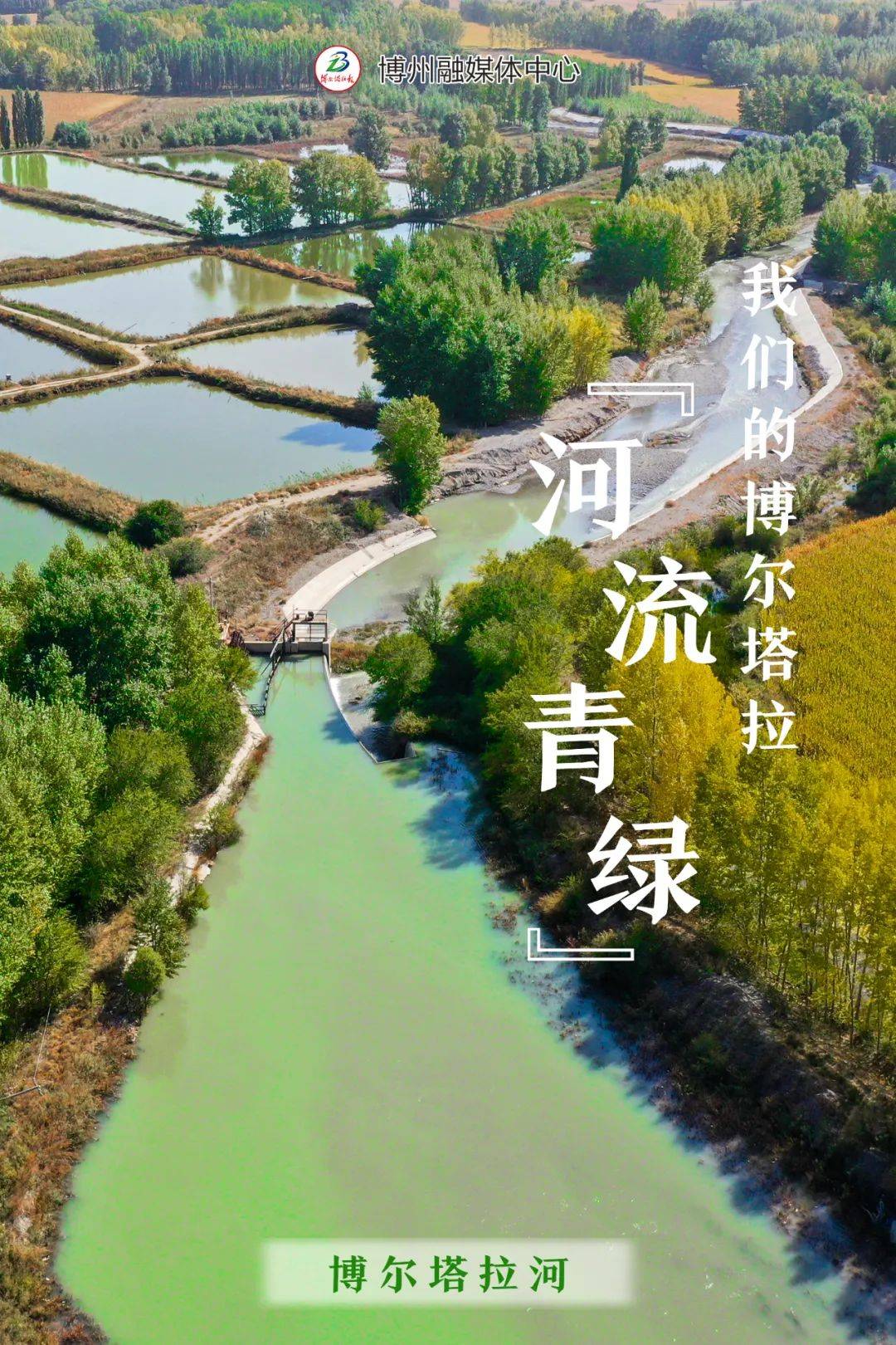 博尔塔拉_精河_湿地