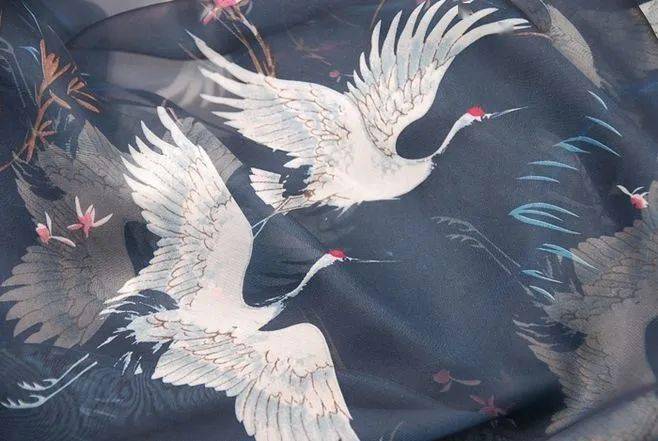 仙风飘逸羽族之长传说中的一品鸟竟是长寿的象征