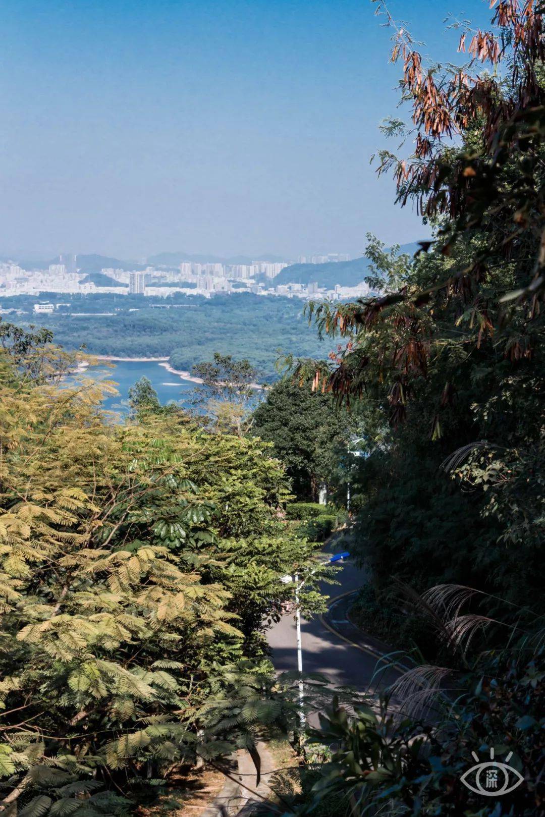 深圳好玩的地方|深圳更好玩还是广州更好玩(深圳有哪些好玩的地方?)