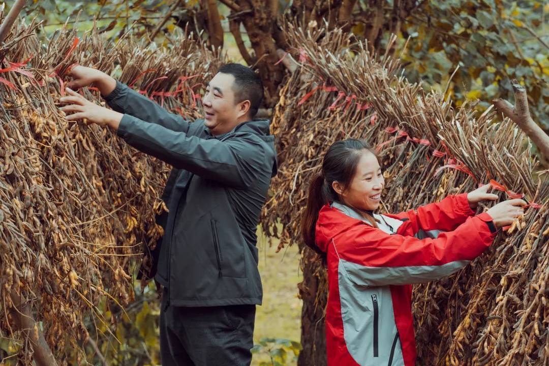 蜀中桃子姐搭上数字快车农村青年走出去有了更多可能