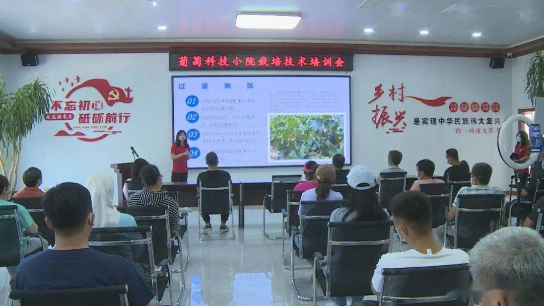 贵州毕节农业革新：尖端技术助力增产增收，绿色环保引领未来