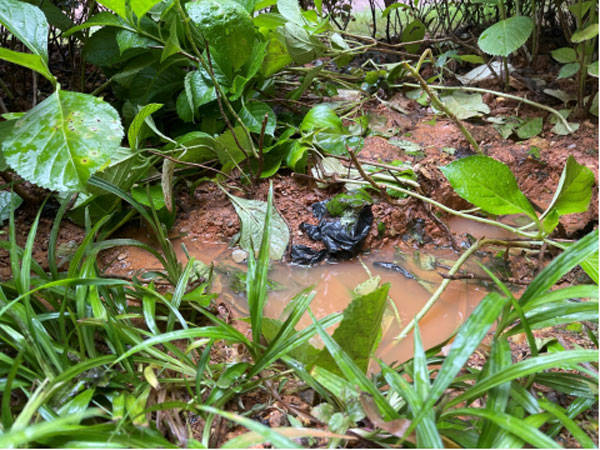 男子摔打小孩事件(被摔小男孩为什么踢人)