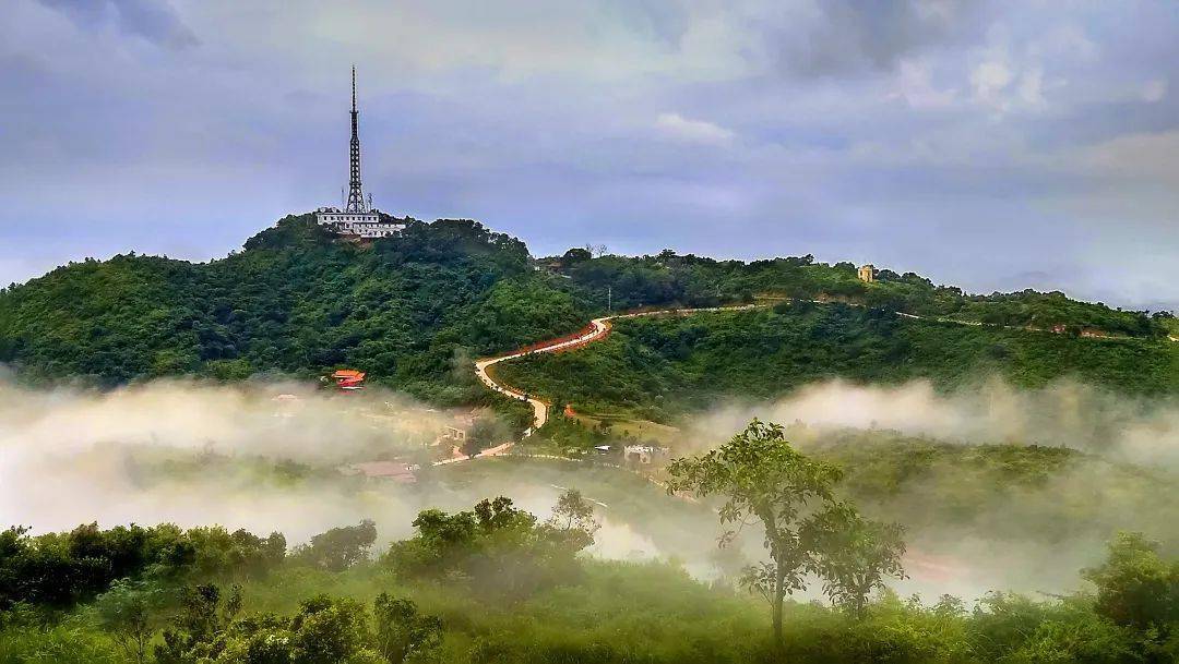 周末打卡地 | 那雾山森林公园的夏天不能错过_那丽镇_游客_到达