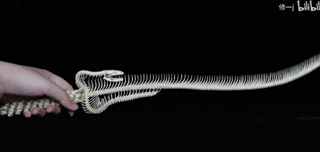 这把蛇骨刀,耗时整整60天你别误会,修一还真不是博眼球!没见过的样子!