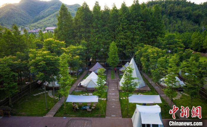 图为松林胡营地. 安吉县文化和广电旅游体育局供图图为九亩松风营地.