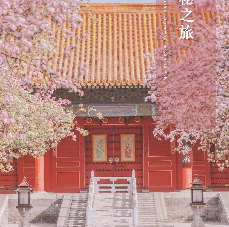 【1日营】600岁的“网红”故宫，原来这么有趣！_生活_活动_侵权
