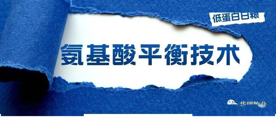 成功研发低蛋白日粮的基础—氨基酸平衡技术_模式_研究_动物