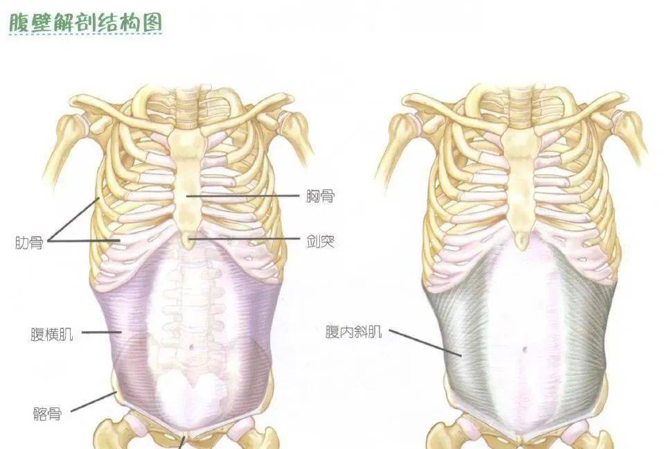 六个动作打造马甲线居家就可达成